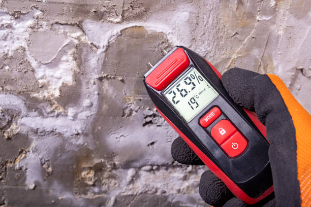Best Residential Mold Remediation in Hermitage, PA