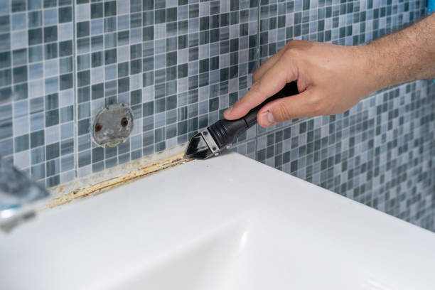 Best Commercial Mold Remediation in Hermitage, PA